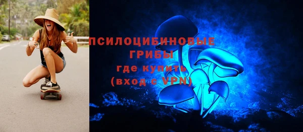 крисы Белокуриха