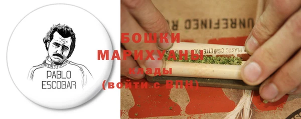 крисы Белокуриха