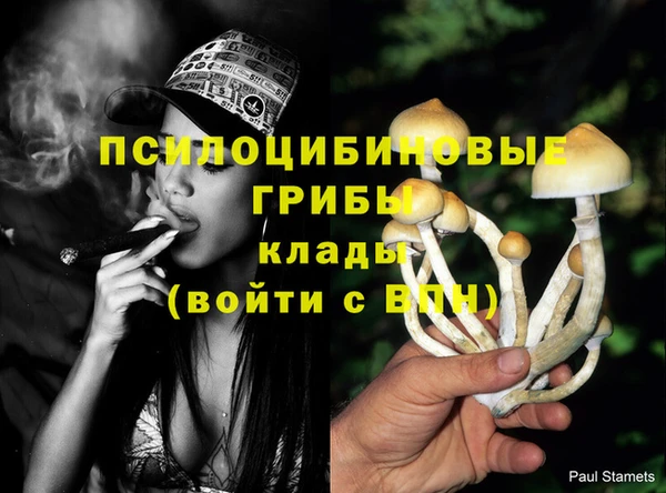 бутират Белоозёрский