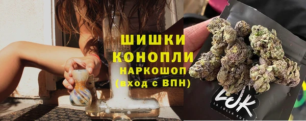крисы Белокуриха