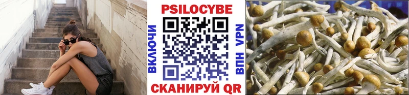 Псилоцибиновые грибы Cubensis Туймазы